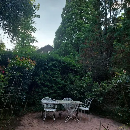 Le De L'artiste * Saint-Die-des-Vosges
